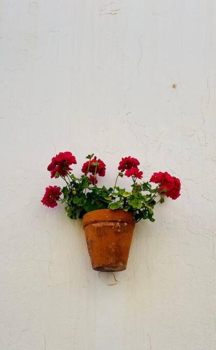 Couples Only, Beautiful 1 Bedroom Apartment In Victoria Building Mojácar Eksteriør bilde
